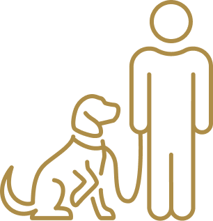 dog and owner outline