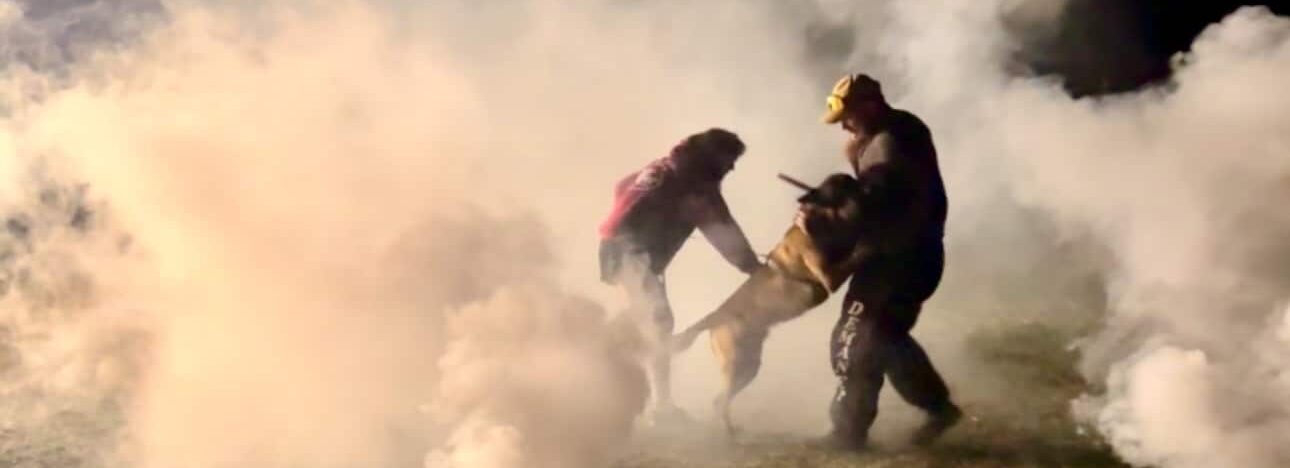 Dog working with a decoy during a protection-training demonstration with smoke.